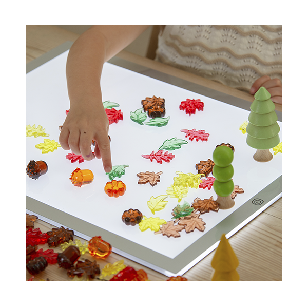 Hojas y Semillas colores translúcidos