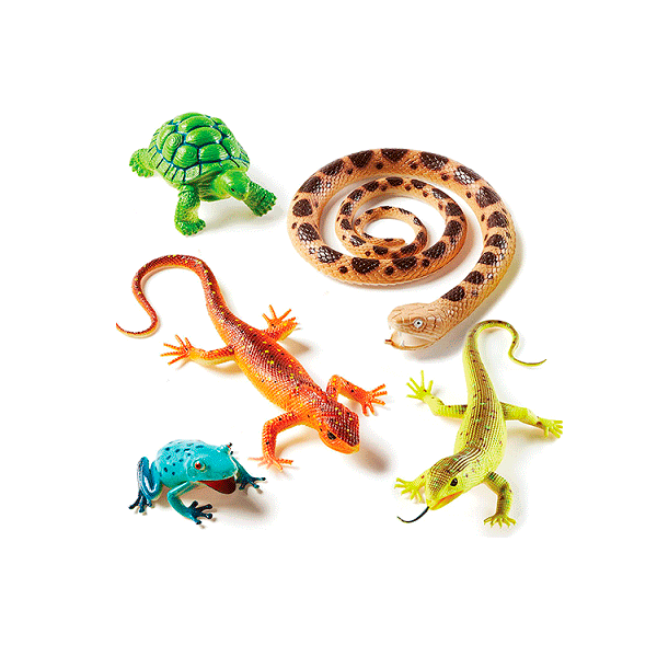 Reptiles y anfibios XL